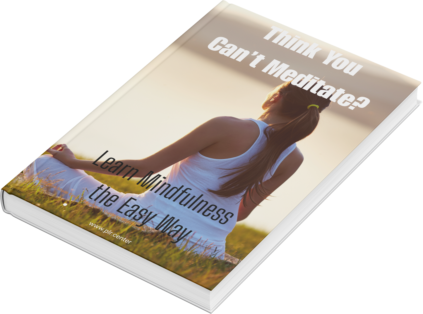 Think You  Can’t Meditate? Learn Mindfulness  the Easy Way